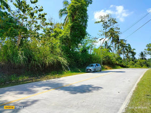 Highway lot for sale 79,000 sqm clean title Tubigon Bohol 250/sqm negotiable