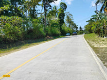 Load image into Gallery viewer, Highway lot for sale 79,000 sqm clean title Tubigon Bohol 250/sqm negotiable