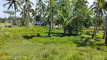 Load image into Gallery viewer, Highway lot for sale 79,000 sqm clean title Tubigon Bohol 250/sqm negotiable