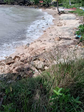 Load image into Gallery viewer, Beach lot for sale in. Tabuelan Cebu Philippines