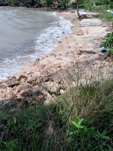Beach lot for sale in. Tabuelan Cebu Philippines