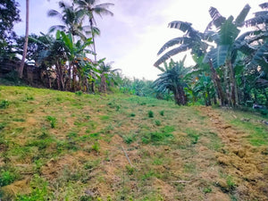 Lot for Sale 48,000 sqm  at Esperanza, Aloguinsan, Cebu