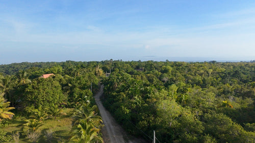 For Sale: Affordable Lot in Alburquerque, Bohol – 12,700 sqm (Expandable)