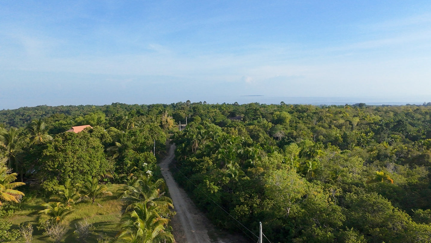 For Sale: Affordable Lot in Alburquerque, Bohol – 12,700 sqm (Expandable)