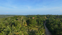 Load image into Gallery viewer, For Sale: Affordable Lot in Alburquerque, Bohol – 12,700 sqm (Expandable)
