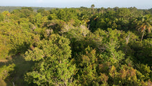 Load image into Gallery viewer, For Sale: Affordable Lot in Alburquerque, Bohol – 12,700 sqm (Expandable)