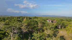 For Sale: Affordable Lot in Alburquerque, Bohol – 12,700 sqm (Expandable)