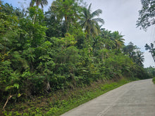 Load image into Gallery viewer, 2,000 sqm for sale in Alburquerque Bohol Philippines 500/sqm