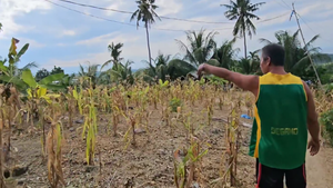 1.2 ha seaview rolling terrain at Aloguinsan Cebu