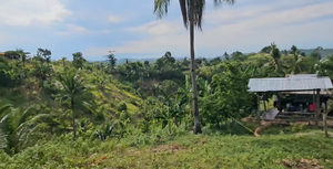 1.2 ha seaview rolling terrain at Aloguinsan Cebu