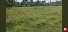 Load image into Gallery viewer, 🌴 LOT FOR SALE – Barili, Cebu, Philippines 🇵🇭