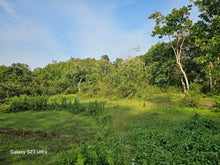 Load image into Gallery viewer, 16 has w/ ricefield &amp; coconut at Balilihan Bohol 100/sqm negotiable