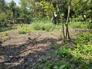 800 sqm residential lot for sale at Talibon Bohol 600k