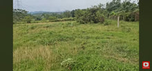 Load image into Gallery viewer, 🌴 LOT FOR SALE – Barili, Cebu, Philippines 🇵🇭