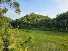 Load image into Gallery viewer, 16 has w/ ricefield &amp; coconut at Balilihan Bohol 100/sqm negotiable