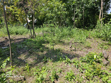 Load image into Gallery viewer, 800 sqm residential lot for sale at Talibon Bohol 600k