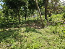 Load image into Gallery viewer, 800 sqm residential lot for sale at Talibon Bohol 600k