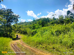 Lot for sale 33,000 sqm Balilihan Bohol 100/sqm