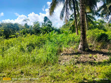 Load image into Gallery viewer, Lot for sale 33,000 sqm Balilihan Bohol 100/sqm