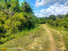 Load image into Gallery viewer, Lot for sale 33,000 sqm Balilihan Bohol 100/sqm