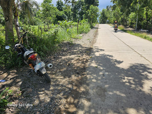 4,146 sqm lot for sale beside school at Talibon Bohol