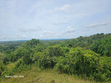 Load image into Gallery viewer, 53 has lot for sale highway at Buenavista Bohol Philippines