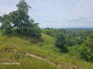 53 has lot for sale highway at Buenavista Bohol Philippines