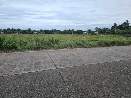 Bohol highway lot for sale ideal for commercial in Bien Unido Bohol