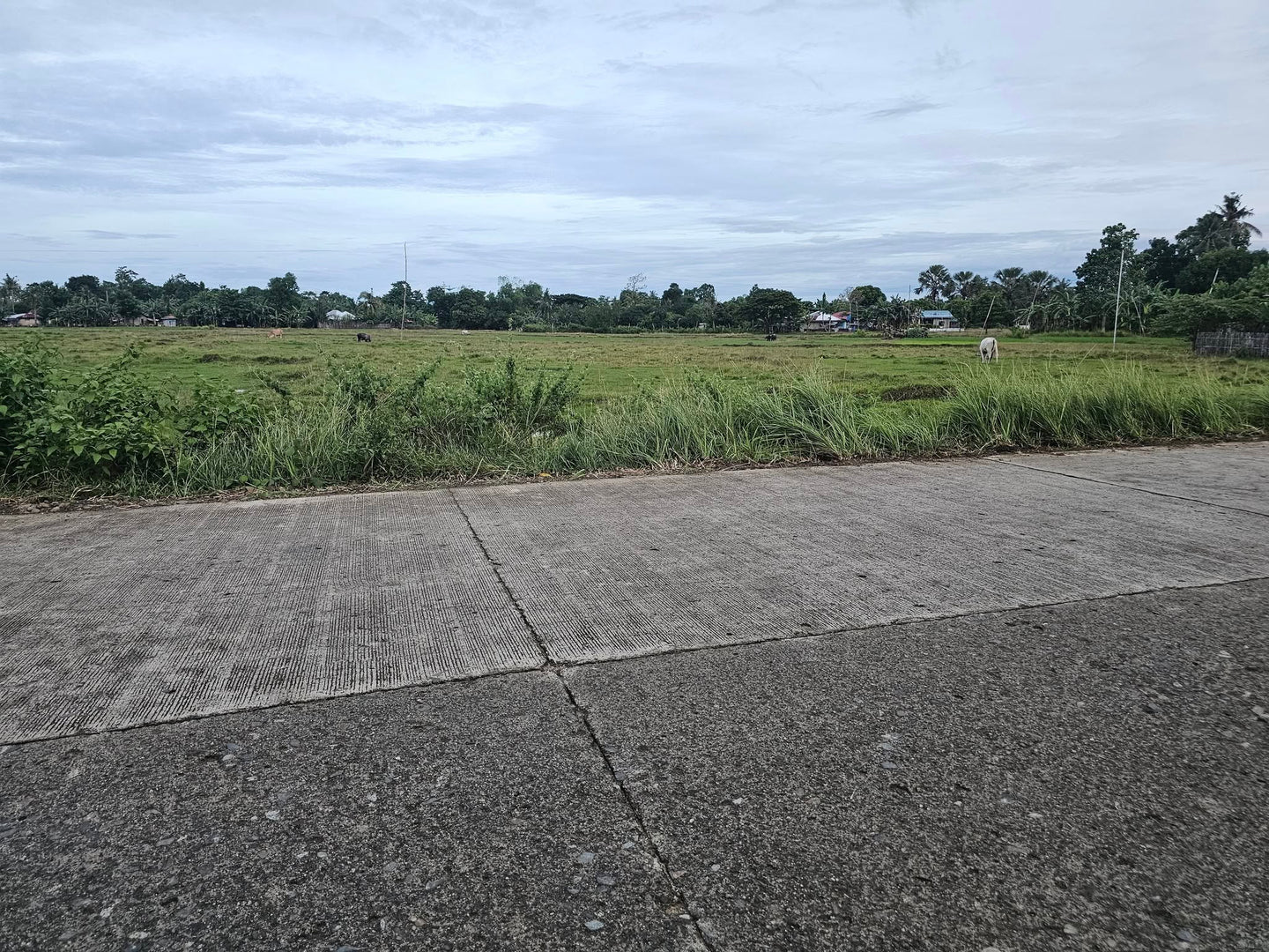 Bohol highway lot for sale ideal for commercial in Bien Unido Bohol