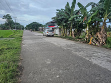 Load image into Gallery viewer, Bohol highway lot for sale ideal for commercial in Bien Unido Bohol