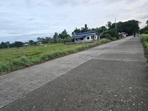 Bohol highway lot for sale ideal for commercial in Bien Unido Bohol