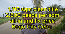 Load image into Gallery viewer, 1,110 sqm clean title at Bogo City Cebu  Philippines