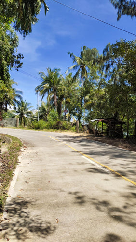 1.3 ha plus for sale at Boljoon Cebu