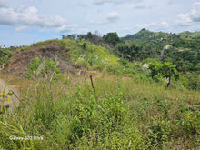 Load image into Gallery viewer, 53 has lot for sale highway at Buenavista Bohol Philippines