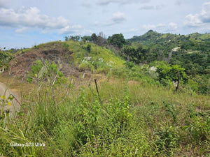 53 has lot for sale highway at Buenavista Bohol Philippines