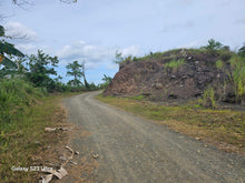 Load image into Gallery viewer, 53 has lot for sale highway at Buenavista Bohol Philippines