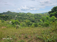 Load image into Gallery viewer, 53 has lot for sale highway at Buenavista Bohol Philippines