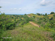 Load image into Gallery viewer, 53 has lot for sale highway at Buenavista Bohol Philippines