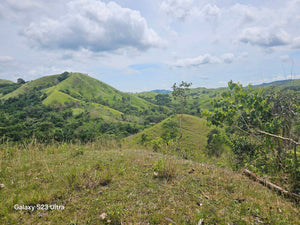 53 has lot for sale highway at Buenavista Bohol Philippines