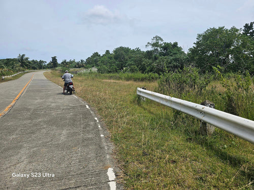 53 has lot for sale highway at Buenavista Bohol Philippines