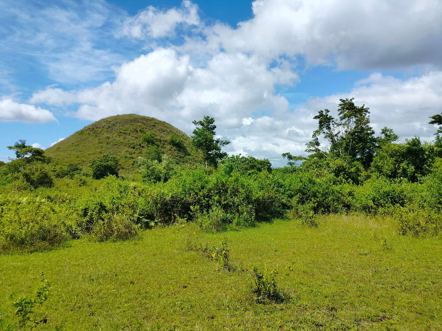 Lot for sale 27,000 sqm Carmen Bohol Philippines 2m negotiable