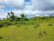 Load image into Gallery viewer, Lot for sale 27,000 sqm Carmen Bohol Philippines 2m negotiable