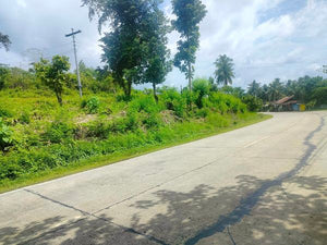 Lot for sale 17,000 sqm highway Carmen Bohol 500/sqm