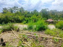 Load image into Gallery viewer, Lot for sale 17,000 sqm highway Carmen Bohol 500/sqm