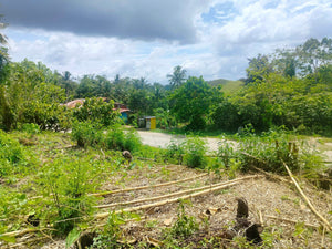 Lot for sale 17,000 sqm highway Carmen Bohol 500/sqm