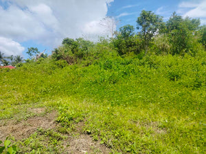 Lot for sale 17,000 sqm highway Carmen Bohol 500/sqm