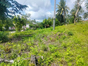 Lot for sale 17,000 sqm highway Carmen Bohol 500/sqm