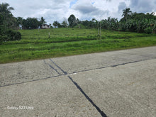 Load image into Gallery viewer, 50,165 sqm highway lot for sale at Carmen Bohol 150/sqm