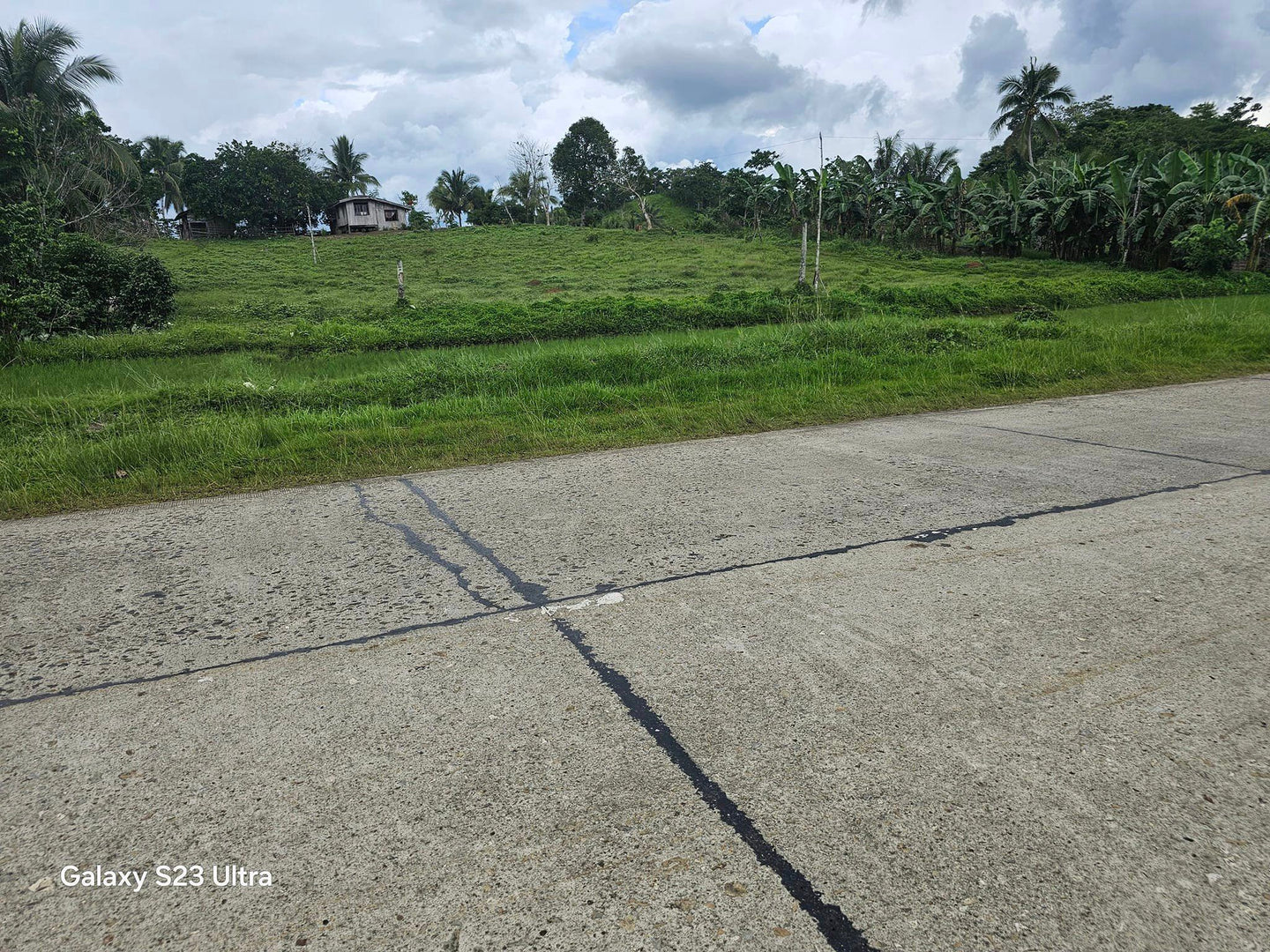 50,165 sqm highway lot for sale at Carmen Bohol 150/sqm