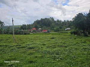 50,165 sqm highway lot for sale at Carmen Bohol 150/sqm